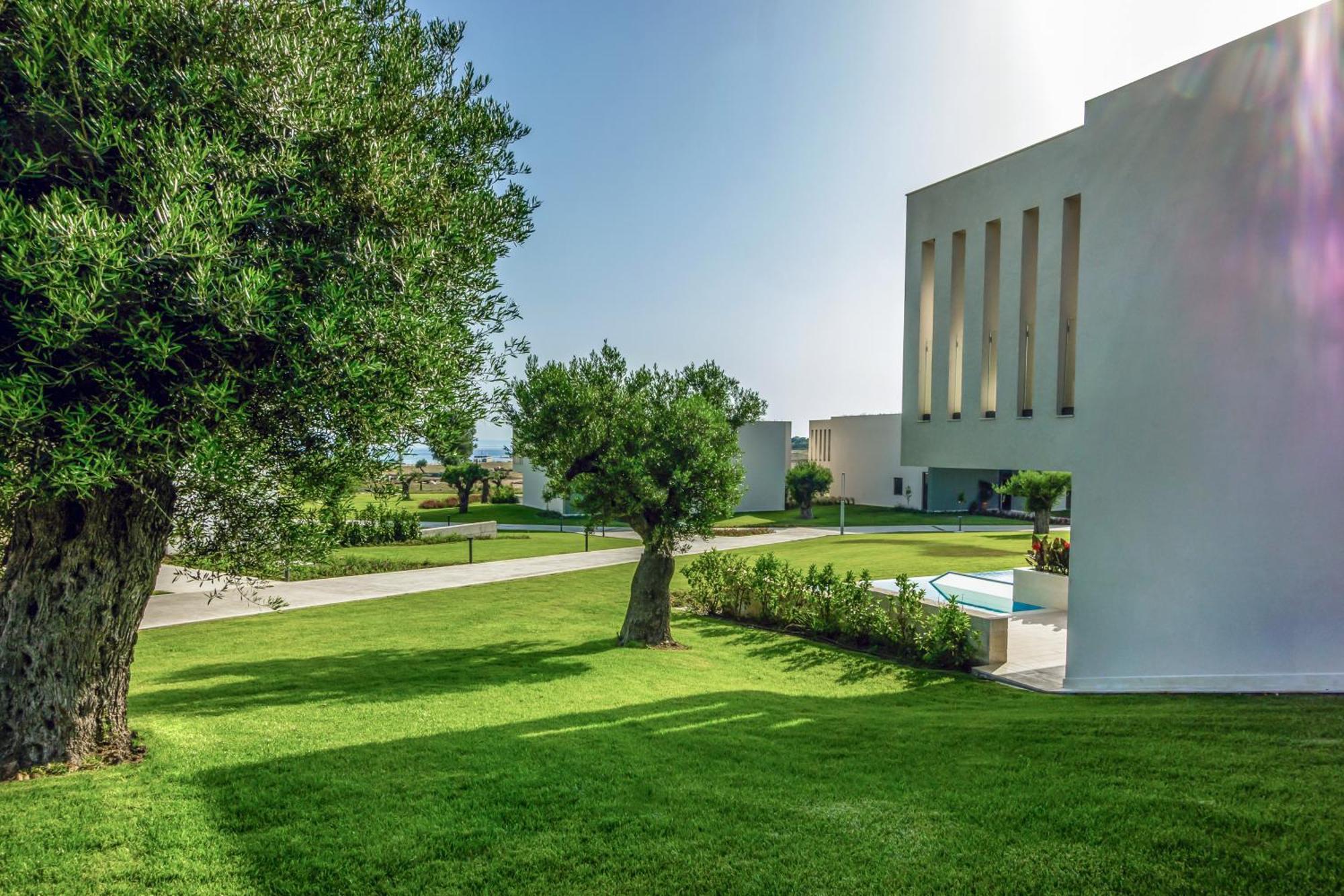 Ammoa Luxury & ניקיטי